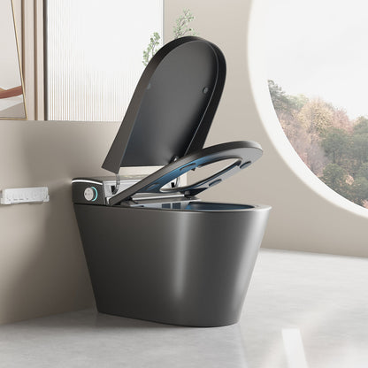 Unique Smart Toile with Integrated Bidet