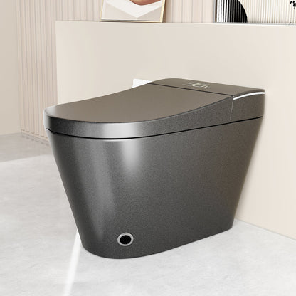 Unique Smart Toile with Integrated Bidet