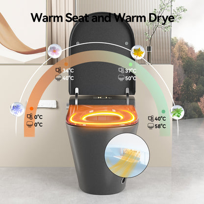 Unique Smart Toile with Integrated Bidet